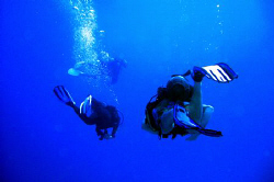 Divers doing what divers do! Casio exilim. by Andrew Macleod 